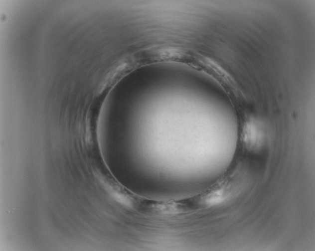 X0000066080524200603171033