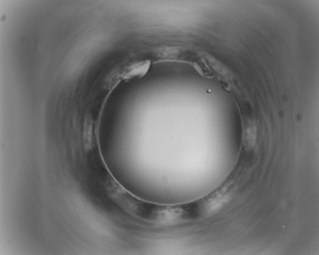 X0000066080525200603171033