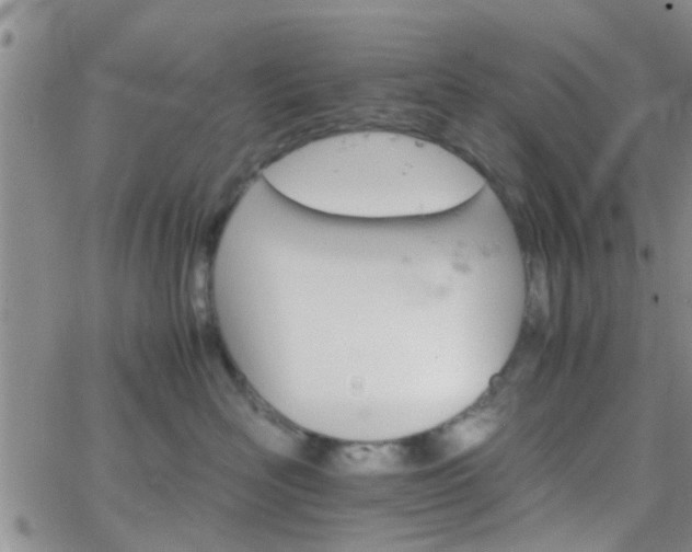 X0000066080526200603171033