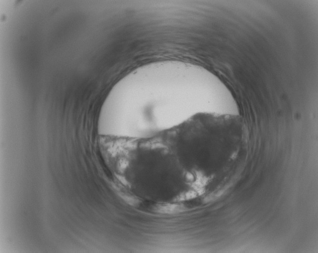 X0000066080527200603171033