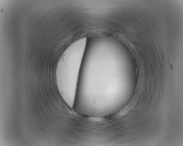 X0000066080528200603171033