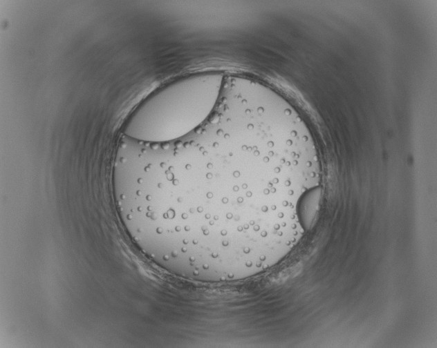 X0000066080529200603171033