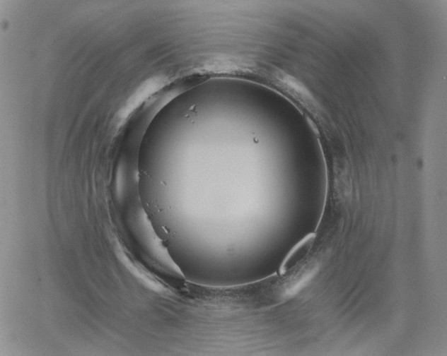 X0000066080530200603171033