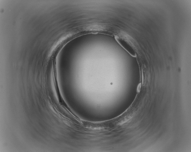 X0000066080531200603171033