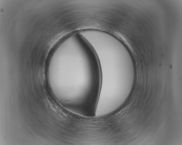 X0000066080532200603171033