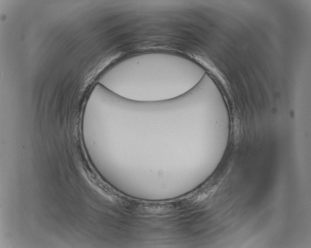 X0000066080533200603171033