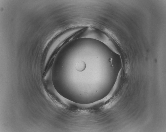 X0000066080534200603171033