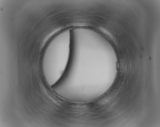 X0000066080535200603171033