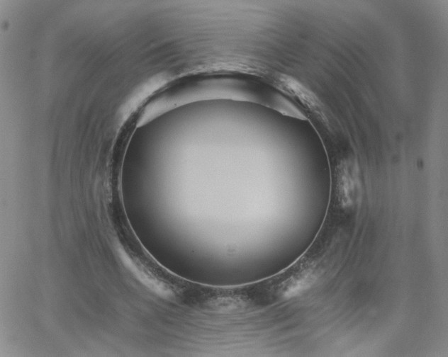 X0000066080536200603171033