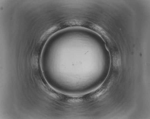 X0000066080537200603171033