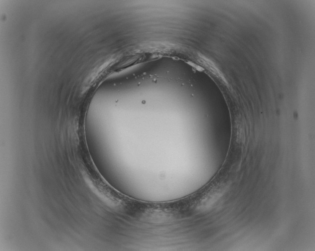 X0000066080538200603171033