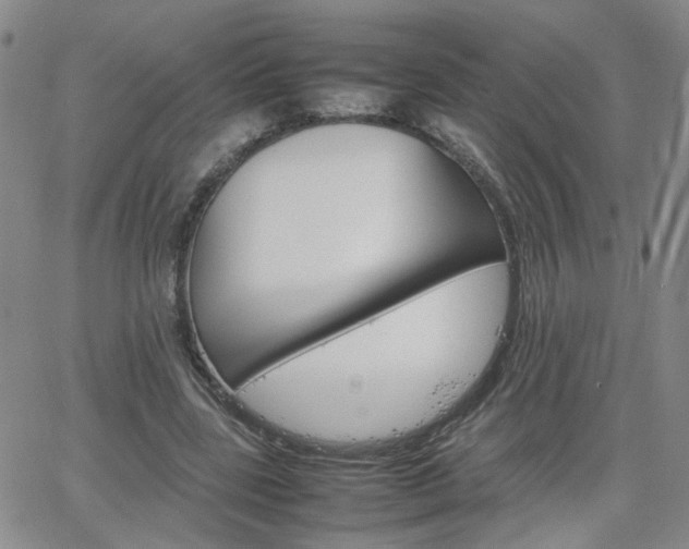 X0000066080539200603171033