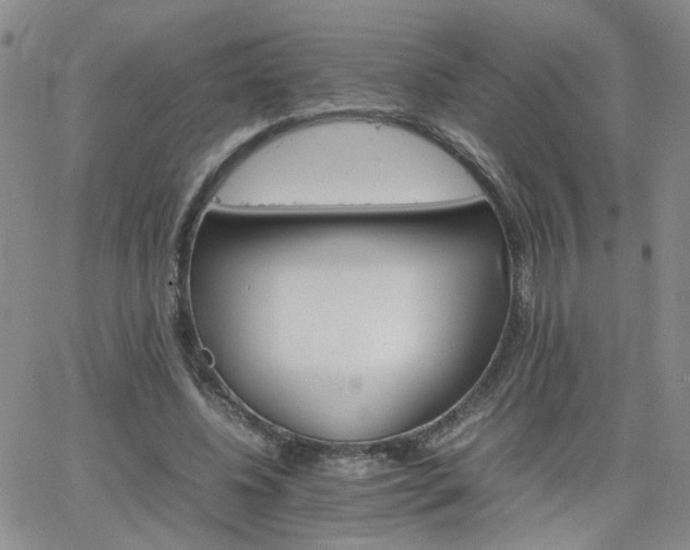 X0000066080540200603171033