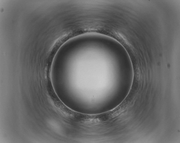 X0000066080543200603171033