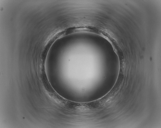 X0000066080544200603171033