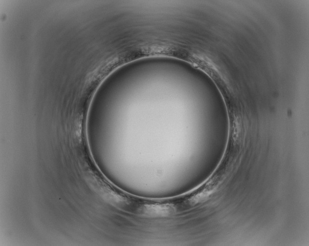 X0000066080545200603171033