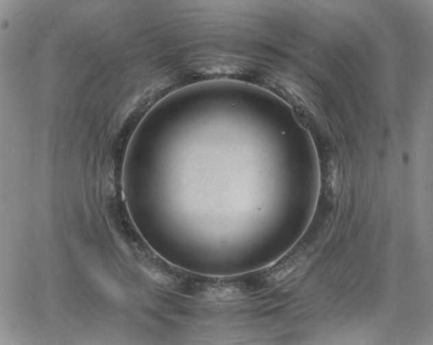 X0000066080547200603171033