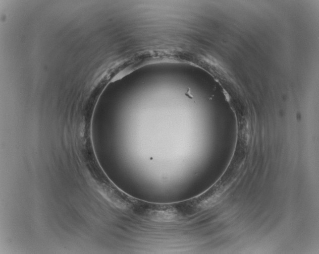 X0000066080548200603171033