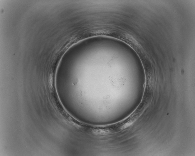 X0000066080549200603171033