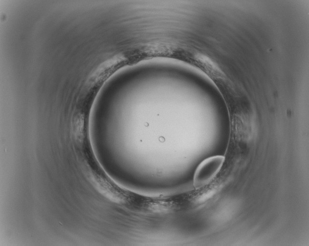 X0000066080550200603171033