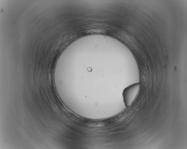 X0000066080551200603171033