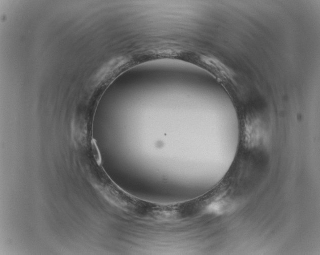 X0000066080552200603171033