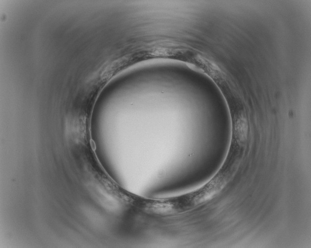 X0000066080554200603171033