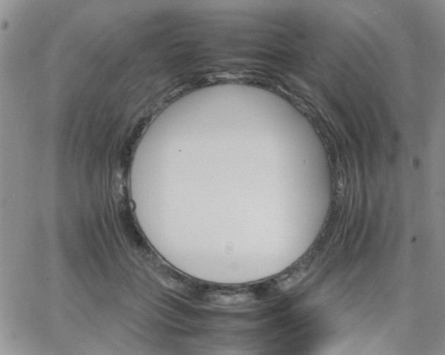 X0000066080555200603171033