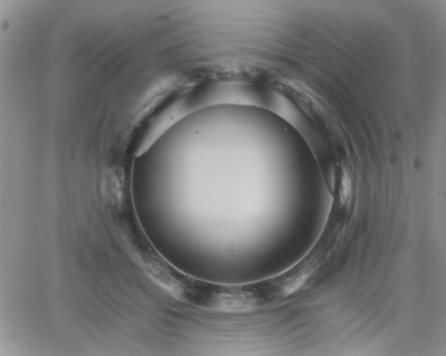 X0000066080556200603171033