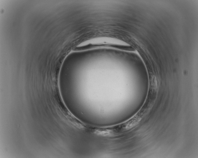 X0000066080557200603171033