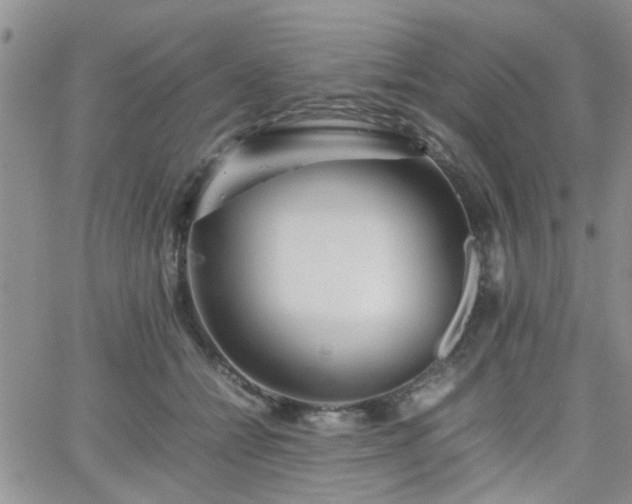 X0000066080558200603171033