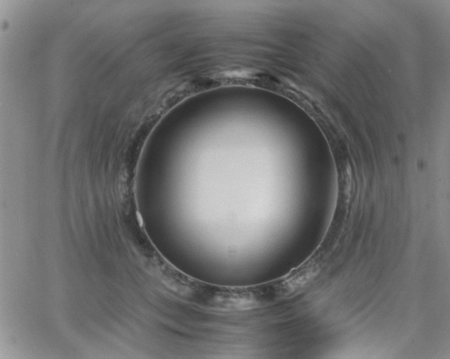 X0000066080559200603171033