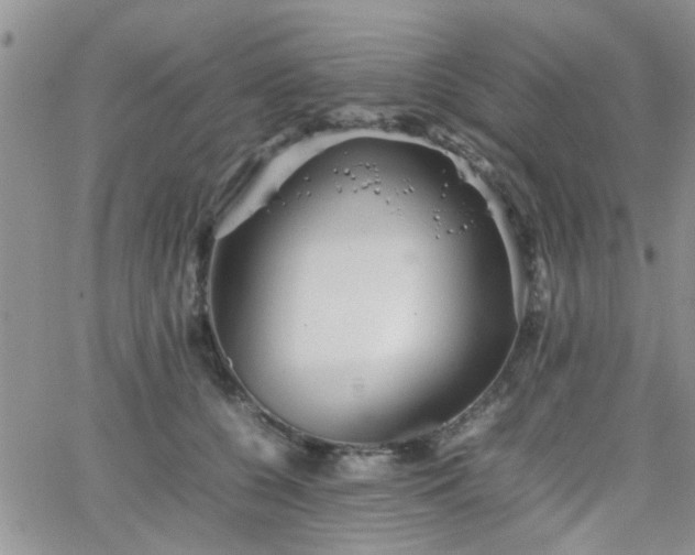 X0000066080560200603171033