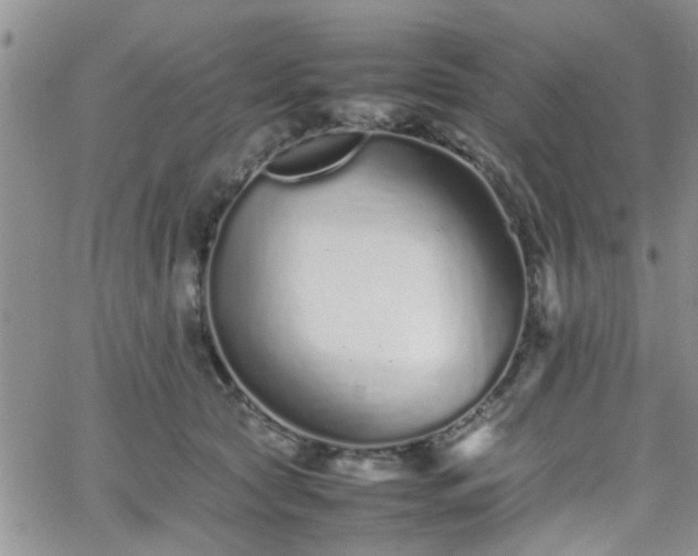 X0000066080561200603171033