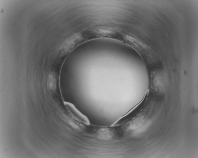 X0000066080562200603171033