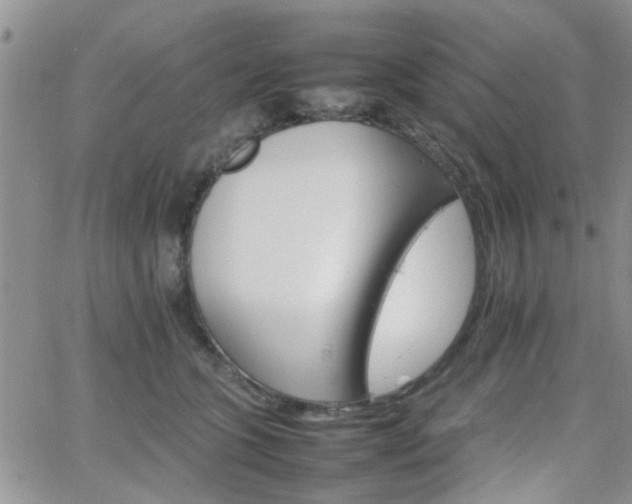 X0000066080563200603171033