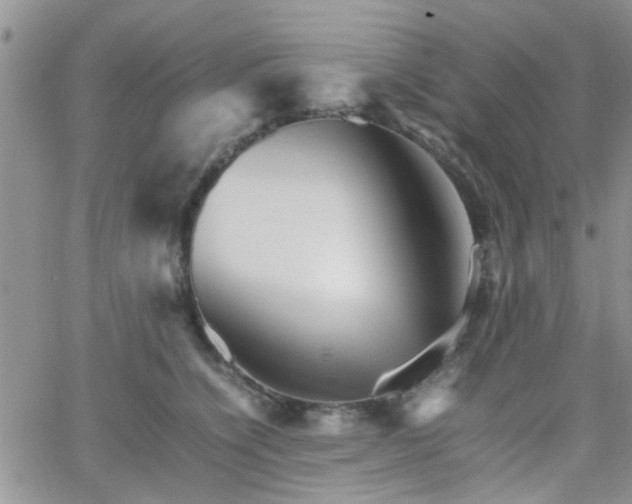 X0000066080564200603171033