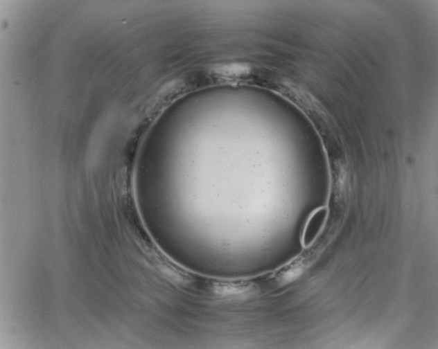 X0000066080565200603171033