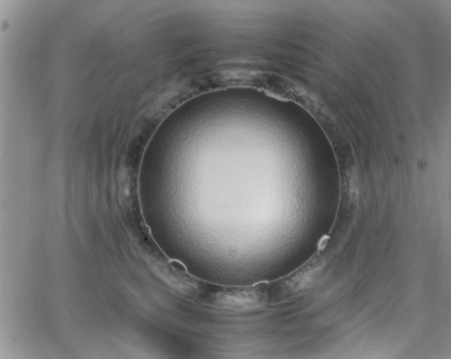 X0000066080567200603171033