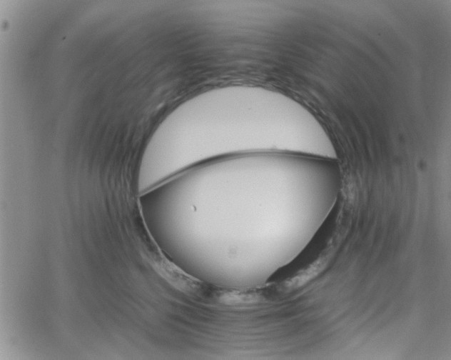 X0000066080568200603171033