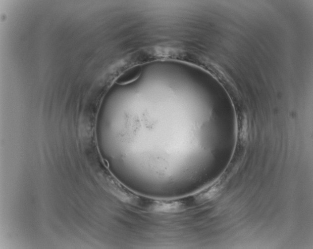 X0000066080569200603171033