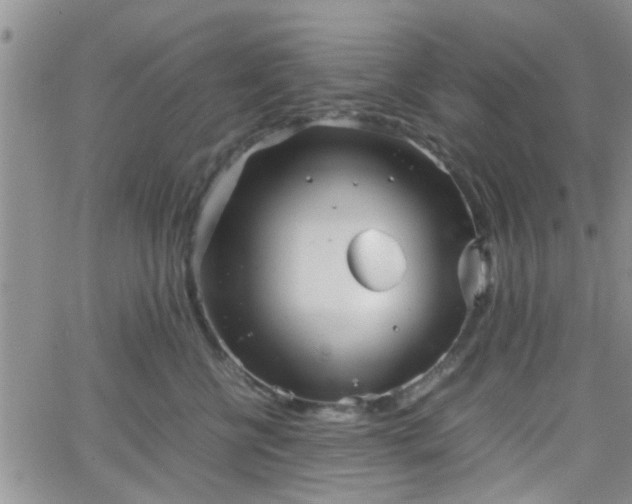 X0000066080570200603171033