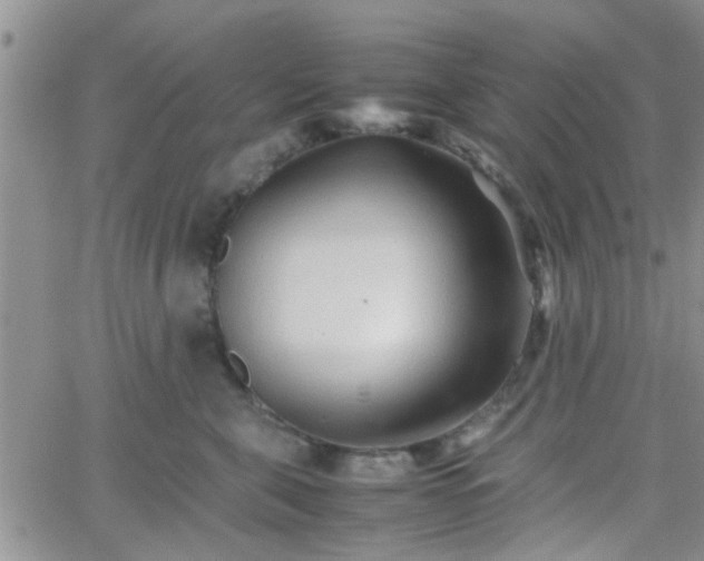 X0000066080571200603171033