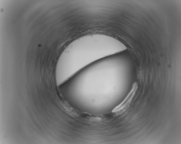 X0000066080572200603171033