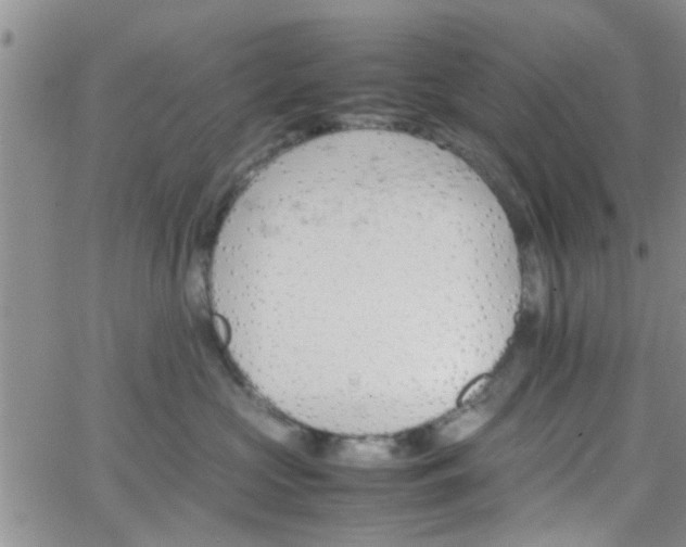 X0000066080573200603171033