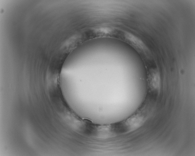 X0000066080574200603171033