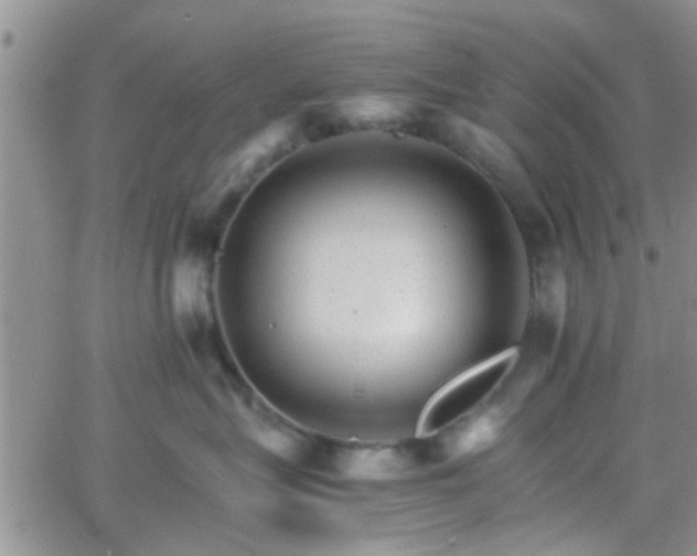 X0000066080575200603171033