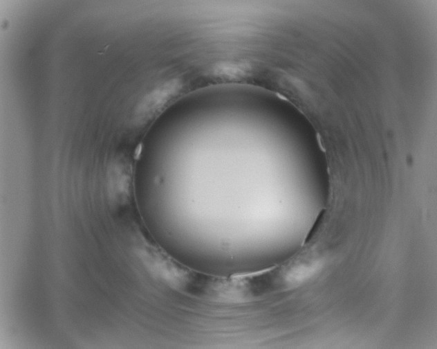 X0000066080576200603171033