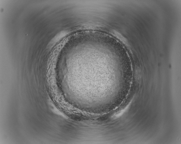 X0000066080577200603171033