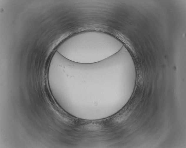 X0000066080578200603171033